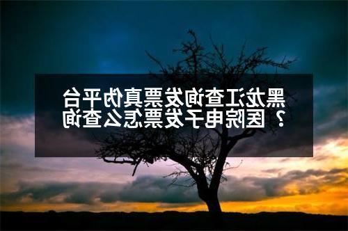 黑龙江查询发票真伪平台？医院电子发票怎么查询